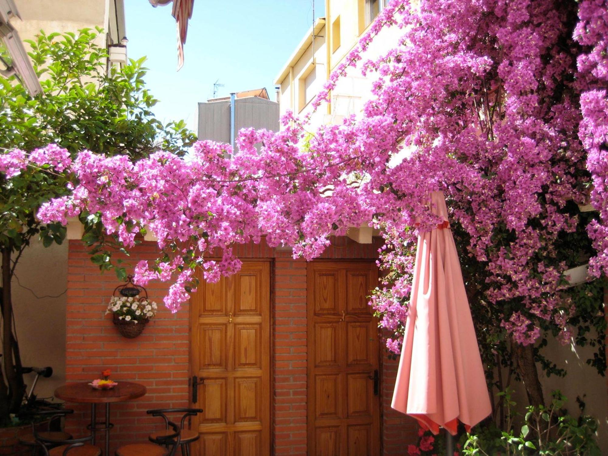 Affittacamere Casa Austria 3*
